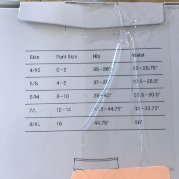 NWOT 5 Pair Bikini Undies Large (12-14) - Picture 4 of 5